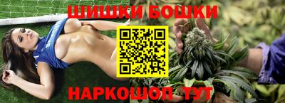 стаф Пенза