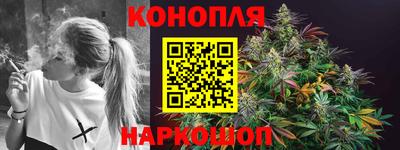 стаф Пенза