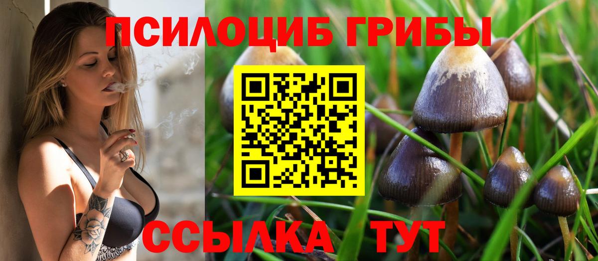 Галлюциногенные грибы Magic Shrooms Пугачёв