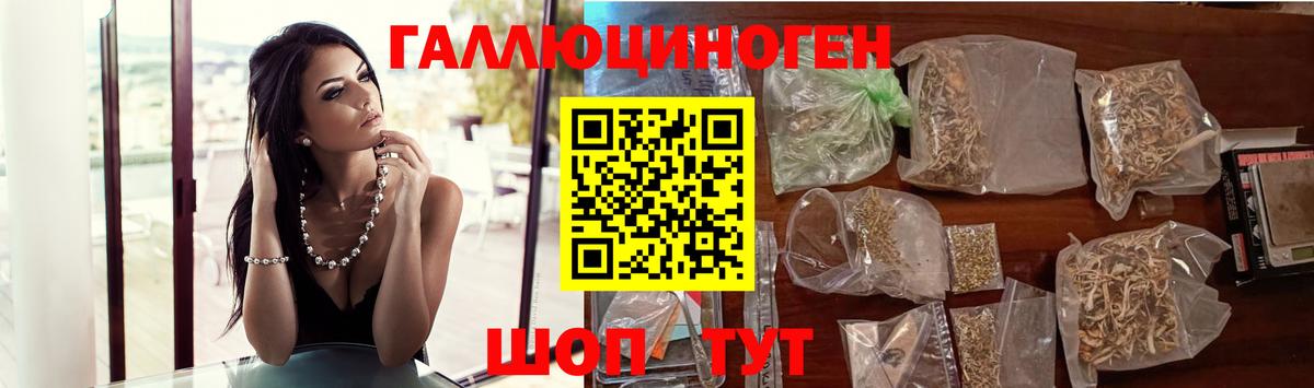 Пугачёв  Псилоцибиновые грибы Psilocybine cubensis  Вход с VPN 