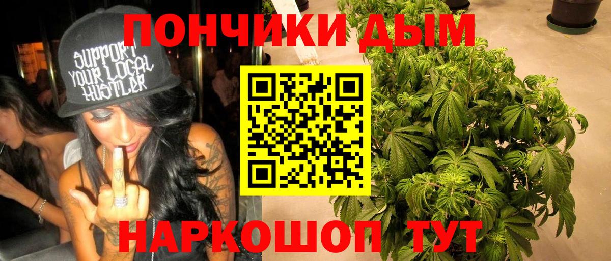 Бошки Шишки гибрид Пугачёв